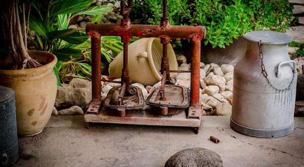 Ashdot Yaacov Ichud Kibbutz Country Lodging Dış mekan fotoğraf