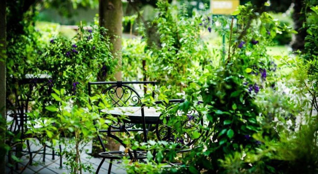 Ashdot Yaacov Ichud Kibbutz Country Lodging Dış mekan fotoğraf
