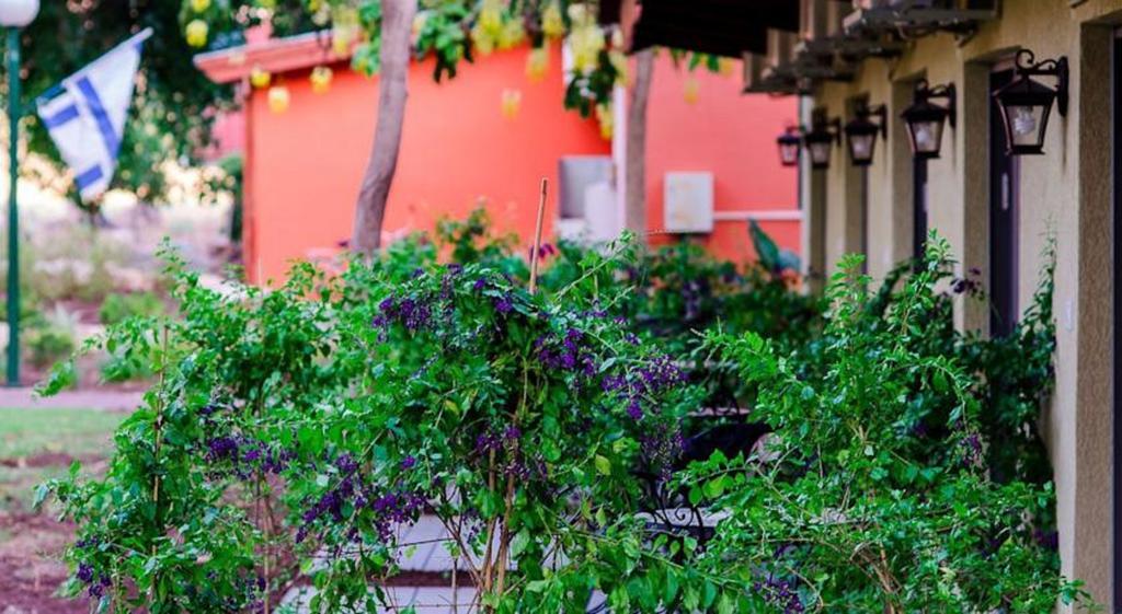 Ashdot Yaacov Ichud Kibbutz Country Lodging Dış mekan fotoğraf