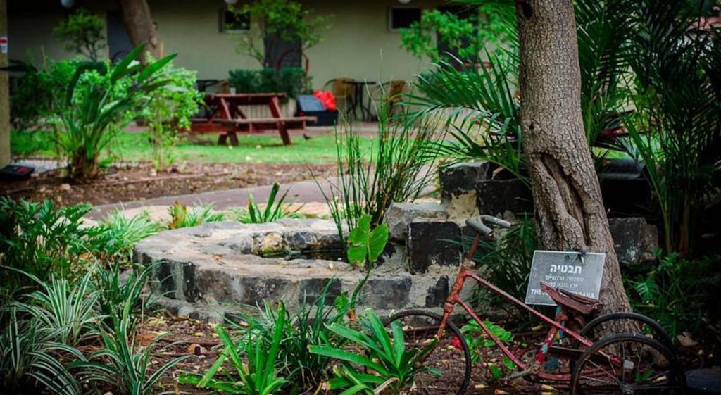 Ashdot Yaacov Ichud Kibbutz Country Lodging Dış mekan fotoğraf